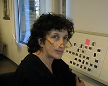Profile for Sally Stein